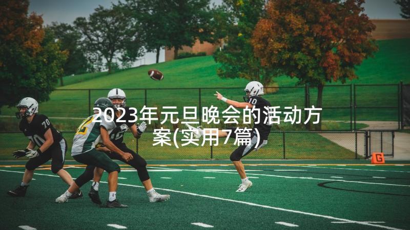 2023年元旦晚会的活动方案(实用7篇)