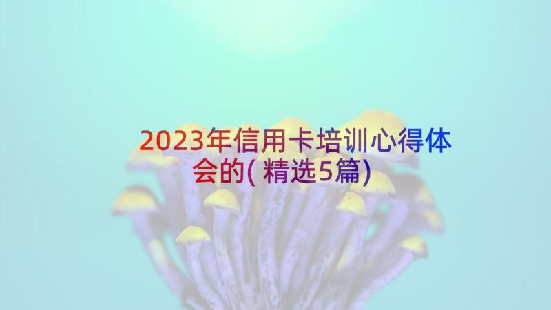 2023年信用卡培训心得体会的(精选5篇)