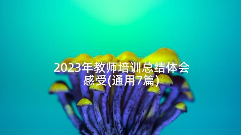 2023年教师培训总结体会感受(通用7篇)