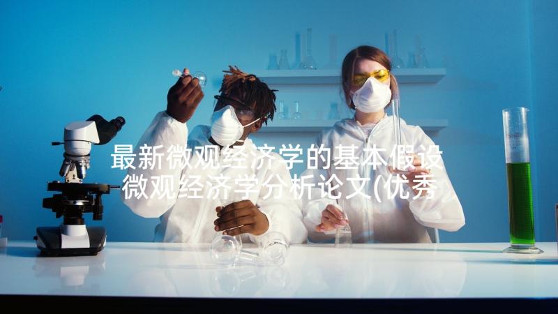 最新微观经济学的基本假设 微观经济学分析论文(优秀5篇)