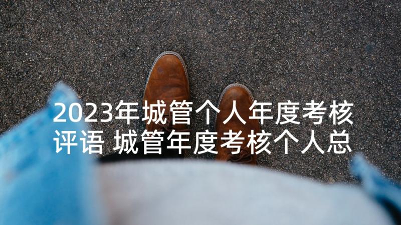 2023年城管个人年度考核评语 城管年度考核个人总结(精选5篇)