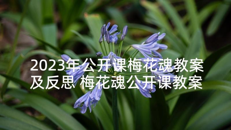 2023年公开课梅花魂教案及反思 梅花魂公开课教案设计(汇总5篇)