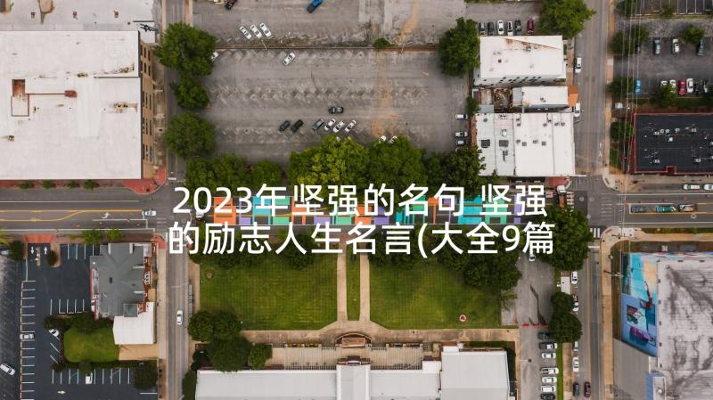 2023年坚强的名句 坚强的励志人生名言(大全9篇)