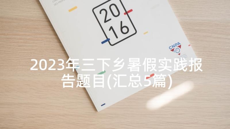 2023年三下乡暑假实践报告题目(汇总5篇)