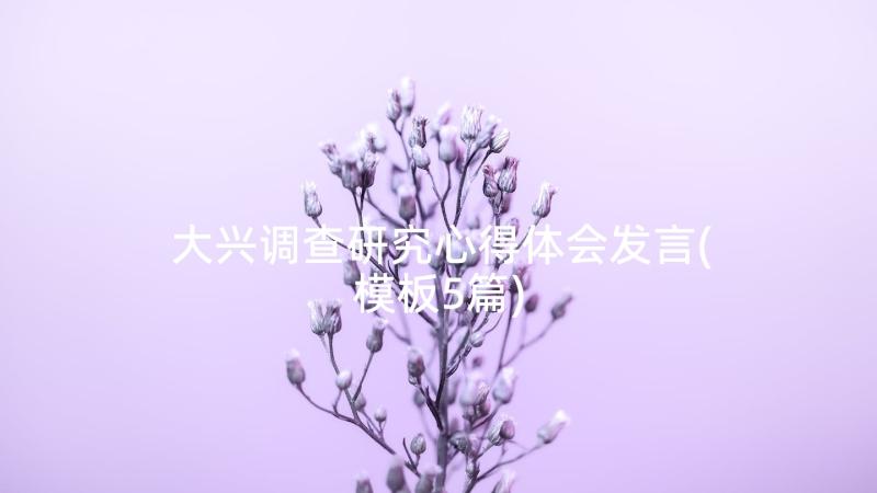 大兴调查研究心得体会发言(模板5篇)