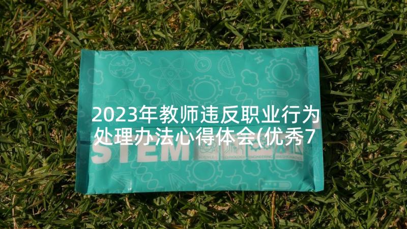 2023年教师违反职业行为处理办法心得体会(优秀7篇)