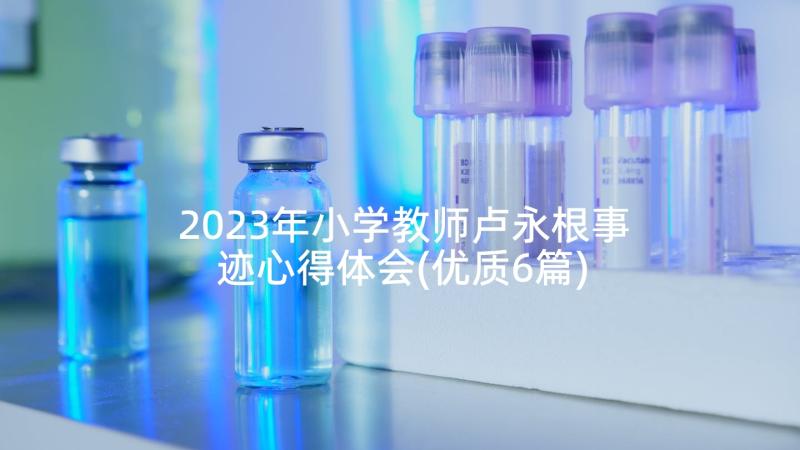 2023年小学教师卢永根事迹心得体会(优质6篇)