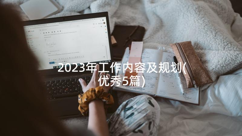 2023年工作内容及规划(优秀5篇)