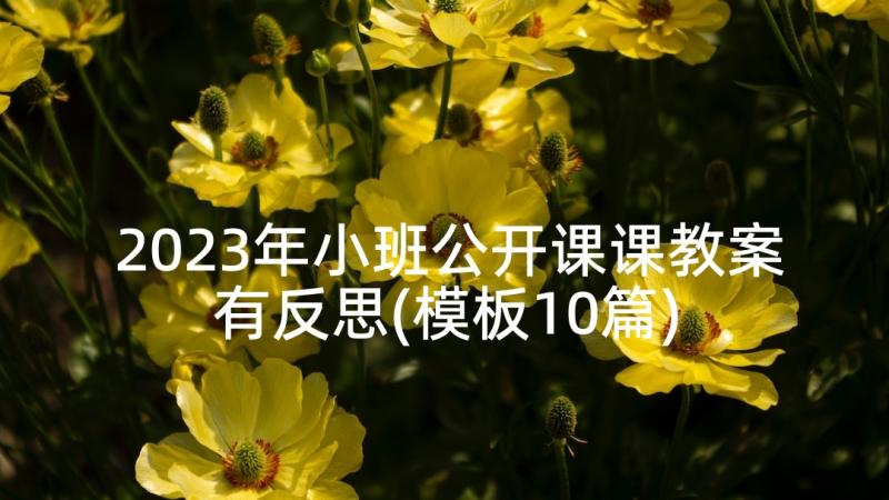 2023年小班公开课课教案有反思(模板10篇)