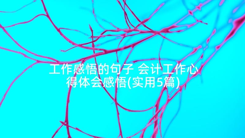 工作感悟的句子 会计工作心得体会感悟(实用5篇)