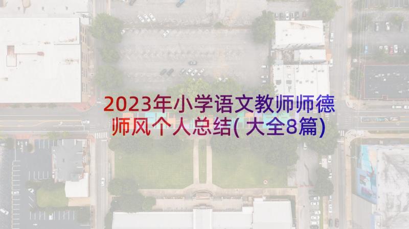 2023年小学语文教师师德师风个人总结(大全8篇)