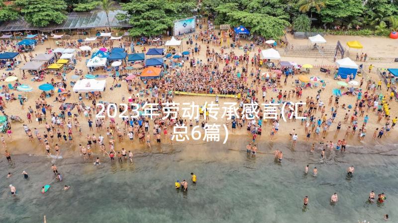 2023年劳动传承感言(汇总6篇)