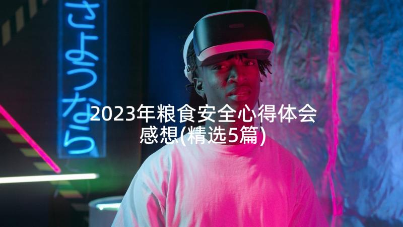 2023年粮食安全心得体会感想(精选5篇)