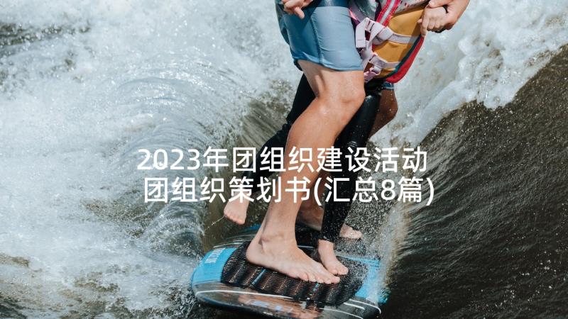 2023年团组织建设活动 团组织策划书(汇总8篇)