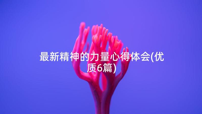 最新精神的力量心得体会(优质6篇)