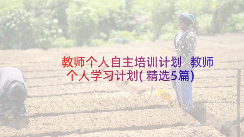 教师个人自主培训计划 教师个人学习计划(精选5篇)