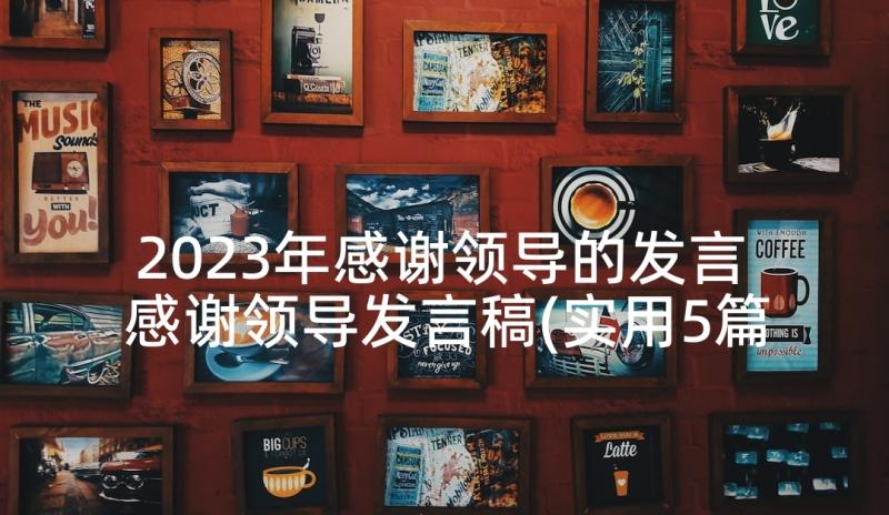 2023年感谢领导的发言 感谢领导发言稿(实用5篇)