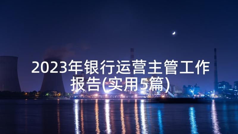 2023年银行运营主管工作报告(实用5篇)