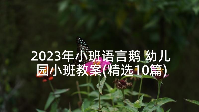 2023年小班语言鹅 幼儿园小班教案(精选10篇)