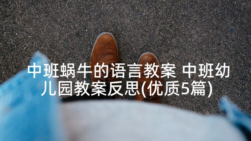 中班蜗牛的语言教案 中班幼儿园教案反思(优质5篇)