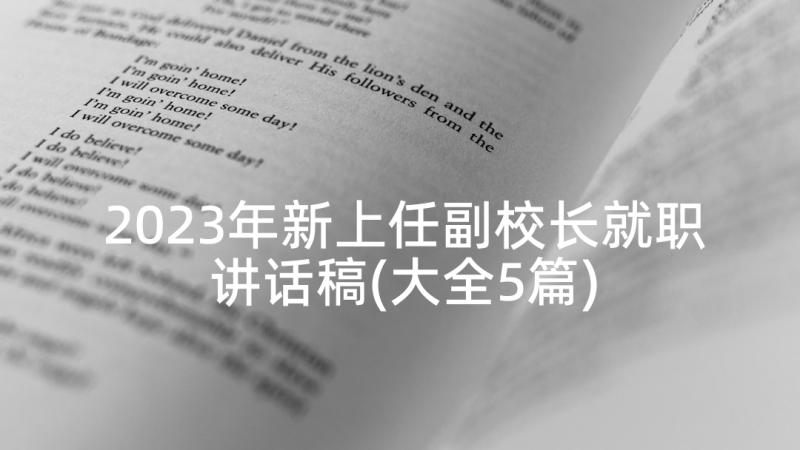 2023年新上任副校长就职讲话稿(大全5篇)