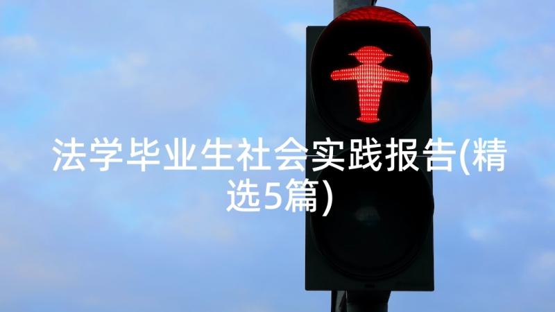 法学毕业生社会实践报告(精选5篇)