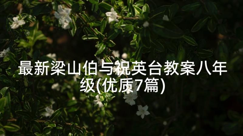 最新梁山伯与祝英台教案八年级(优质7篇)