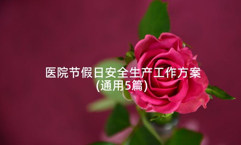 医院节假日安全生产工作方案(通用5篇)