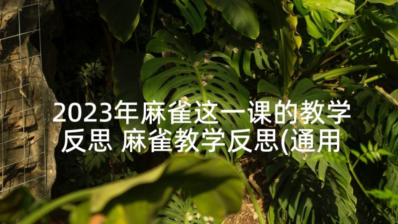 2023年麻雀这一课的教学反思 麻雀教学反思(通用10篇)