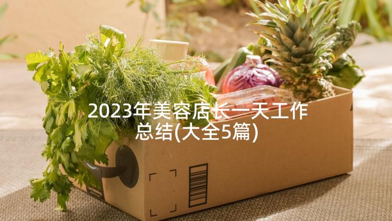 2023年美容店长一天工作总结(大全5篇)