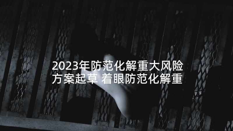 2023年防范化解重大风险方案起草 着眼防范化解重大风险思想宣传(实用5篇)