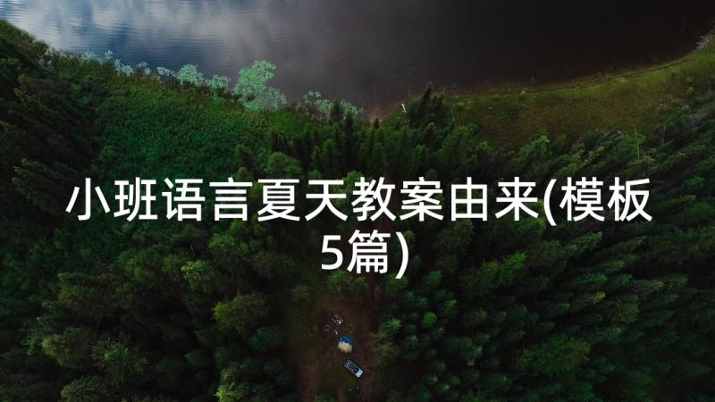 小班语言夏天教案由来(模板5篇)