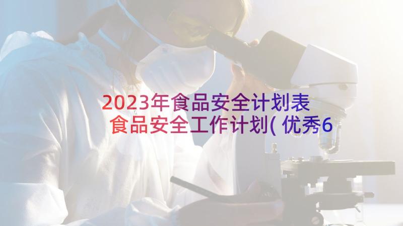 2023年食品安全计划表 食品安全工作计划(优秀6篇)