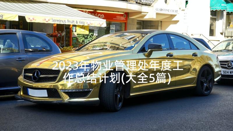 2023年物业管理处年度工作总结计划(大全5篇)