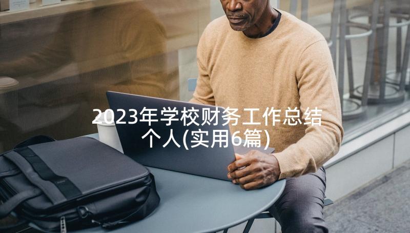 2023年学校财务工作总结个人(实用6篇)