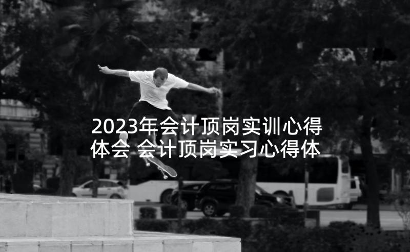 2023年会计顶岗实训心得体会 会计顶岗实习心得体会(优质6篇)