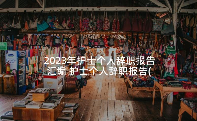 2023年护士个人辞职报告汇编 护士个人辞职报告(汇总9篇)