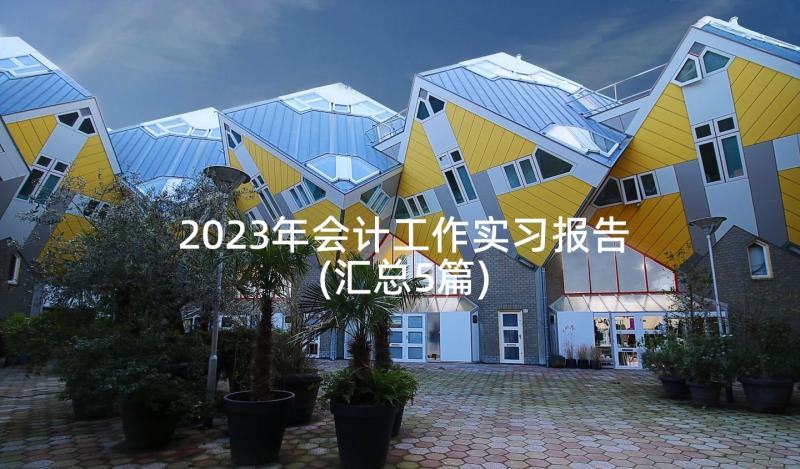 2023年会计工作实习报告(汇总5篇)