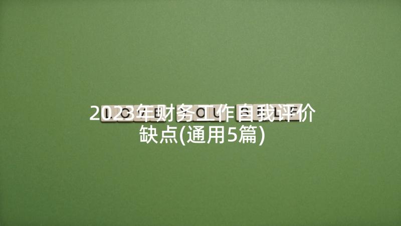 2023年财务工作自我评价缺点(通用5篇)