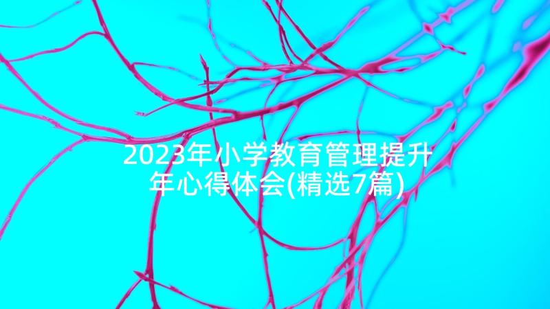 2023年小学教育管理提升年心得体会(精选7篇)