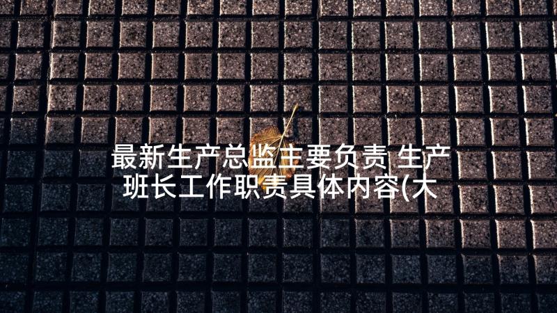 最新生产总监主要负责 生产班长工作职责具体内容(大全5篇)