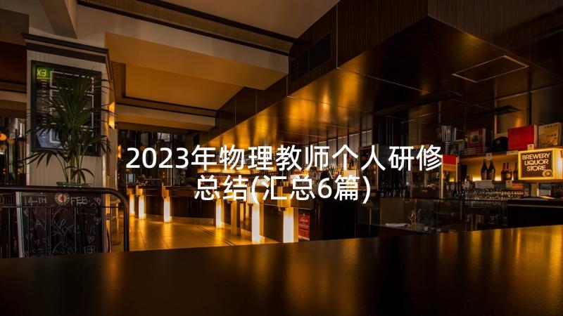 2023年物理教师个人研修总结(汇总6篇)