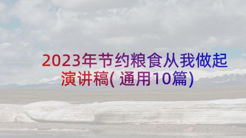 2023年节约粮食从我做起演讲稿(通用10篇)