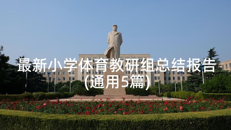 最新小学体育教研组总结报告(通用5篇)