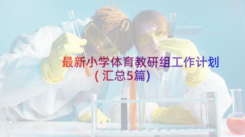 最新小学体育教研组工作计划(汇总5篇)