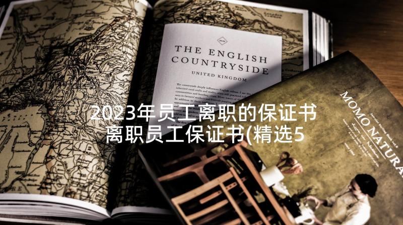 2023年员工离职的保证书 离职员工保证书(精选5篇)