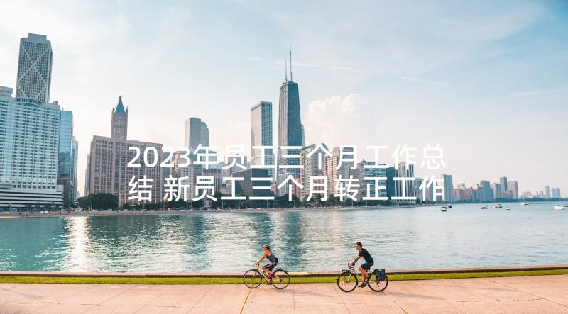 2023年员工三个月工作总结 新员工三个月转正工作总结(通用6篇)