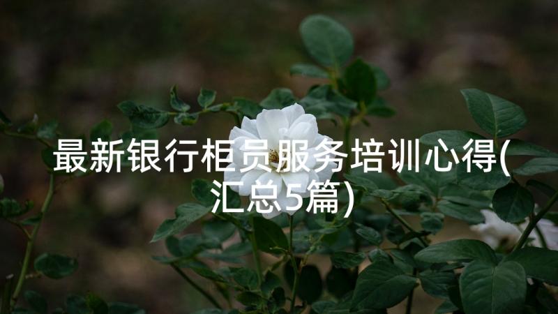 最新银行柜员服务培训心得(汇总5篇)