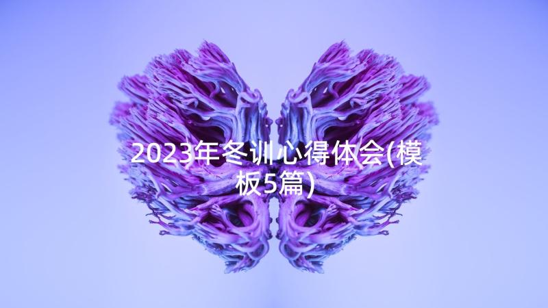 2023年冬训心得体会(模板5篇)