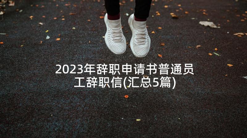 2023年辞职申请书普通员工辞职信(汇总5篇)
